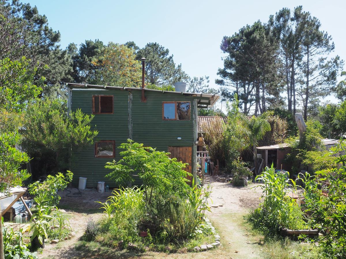 Eco Choclo Bed & Breakfast La Paloma Bagian luar foto